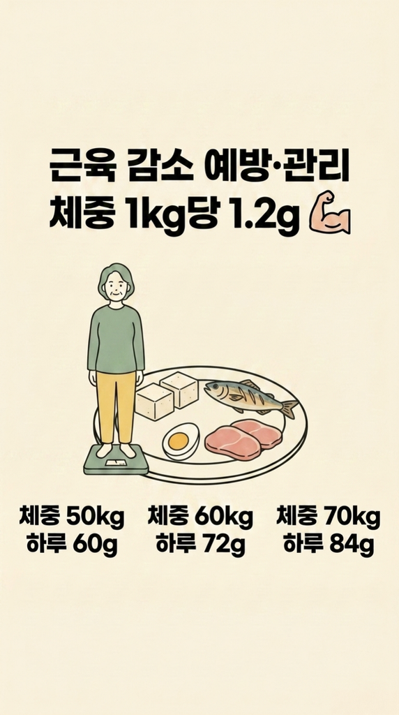 근육 감소 예방과 관리 목적의 하루 단백질 기준과 체중 50kg·60kg·70kg별 목표량